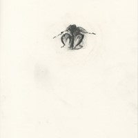 petite bonne femme n°6 mine de plomb crayon sur papier 23 x 31 cm 1988